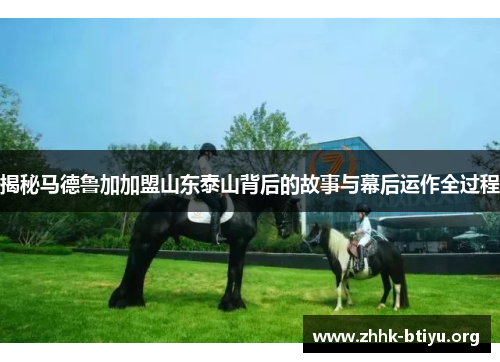 揭秘马德鲁加加盟山东泰山背后的故事与幕后运作全过程
