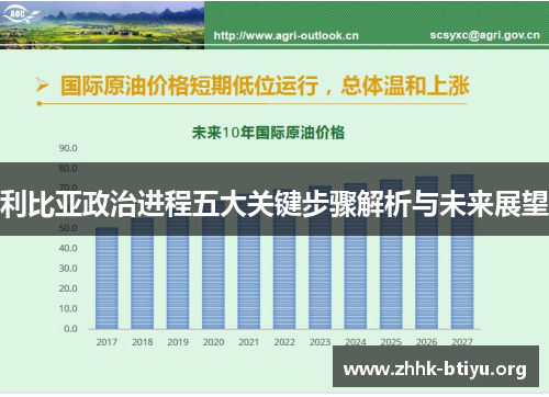 利比亚政治进程五大关键步骤解析与未来展望